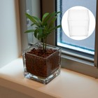2pcs Glass Flower Vases Modern Style Glass Cube Vase Desktop Succulent Pots Vase