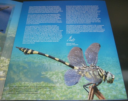 Australia Dragonflies minisheet collection - set of 6 minisheets  - #093/150 - Bild 5 von 5