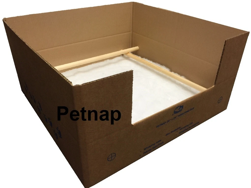 Petnap whelping box 2025