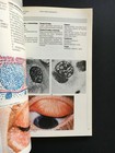 Foto 3 di 7