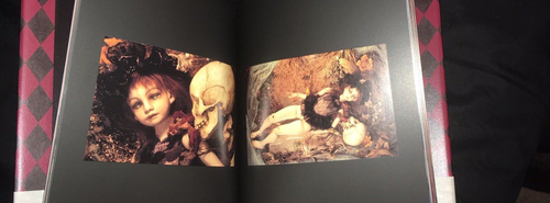 Katan Doll Artist BJD Photo Book Amano Artwork Ball Joined Doll Japan Gothic - Imagen 4 de 4