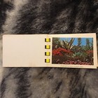 Picture 3 of 12
