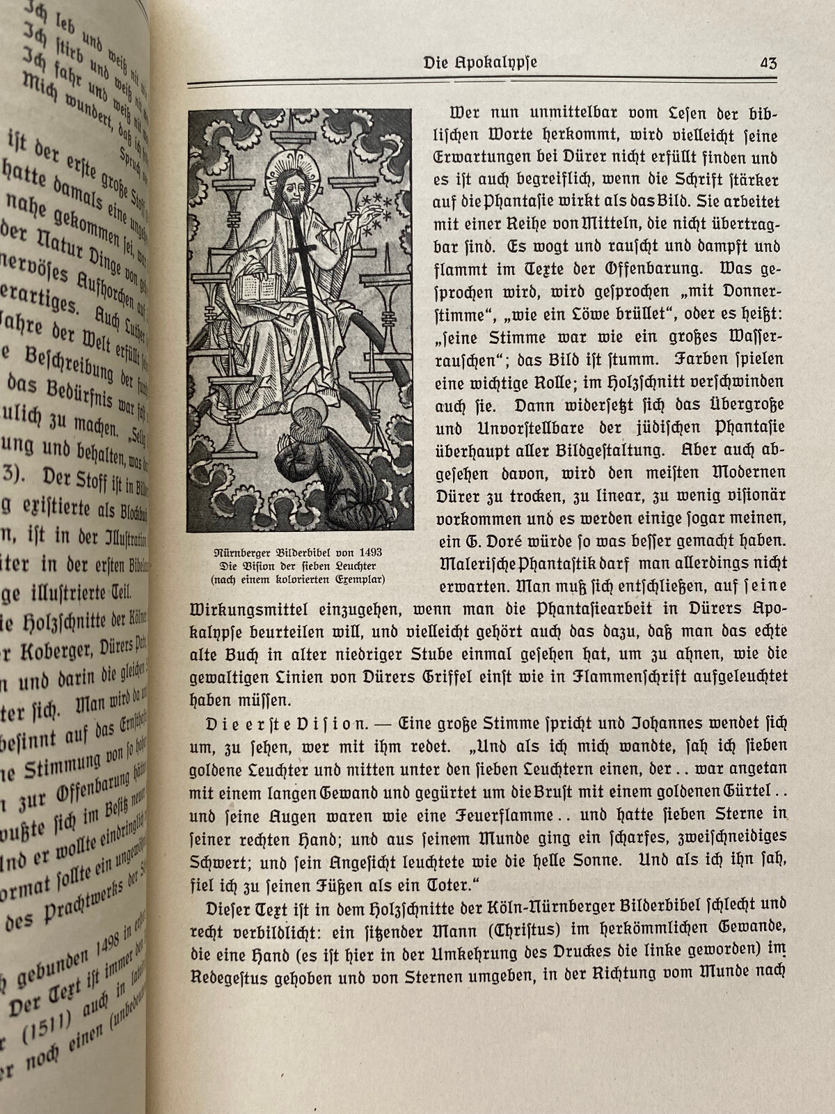 Bild 7 von 7