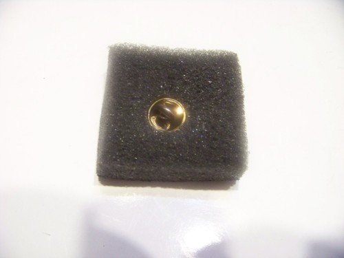 Triceratops Dinosaur Gold Tone Textured Lapel Pin - Picture 3 of 4