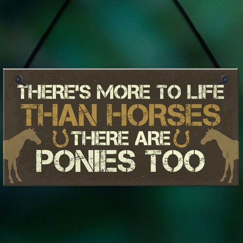 Funny Horse Pony Gifts For Girls Women Hanging Stable Bedroom Birthday Sign - Picture 5 of 9