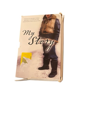 My Story Boxed Set 20 Books Historical Fiction Bundle Homeschool Lot - Picture 2 of 6