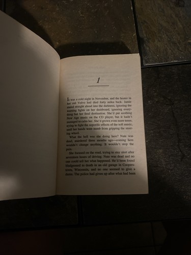 Into the Fire von Anne Stuart - Bild 12 von 24
