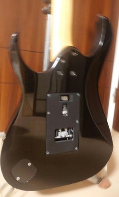 Ibanez'S 2008 Limited Edition Rg Prestige Rg2450Mz | eBay