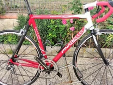 Pinarello Galileo 56 * 56 Frame and Fork Colnago Bianchi Frame and Fork Kit