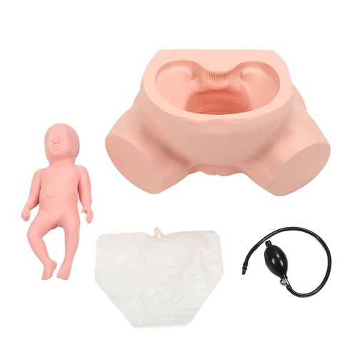 1:1 Life Size Midwifery Training Model Simulator Display Anatomy Female Chil FB9 - Picture 2 of 23
