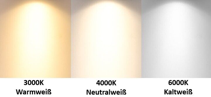Bild 5 von 11
