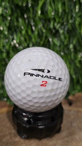 YOU PICK! Myrtle Beach G.C. , C.C. & South Carolina Collector Golf Balls - Picture 96 of 102