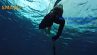 Video 1 of 1