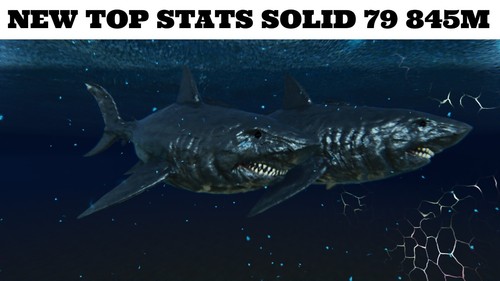 🔥ARK Survival Ascended PvE PC/XBOX/PS5 Top Stats Megalodon Black 845m (shark) - Picture 1 of 13