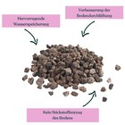 Bild 3 von 4