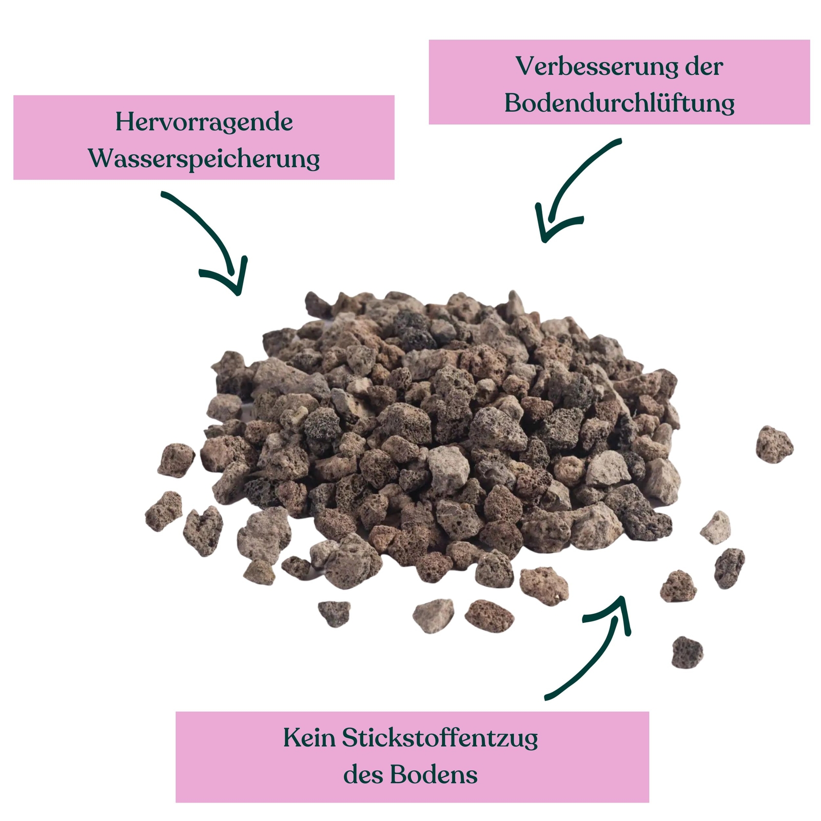 Bild 3 von 4