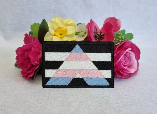 Pride flag patches! Rainbow - Inclusive - Progress - Bi - Trans - Nonbinary - Picture 7 of 89