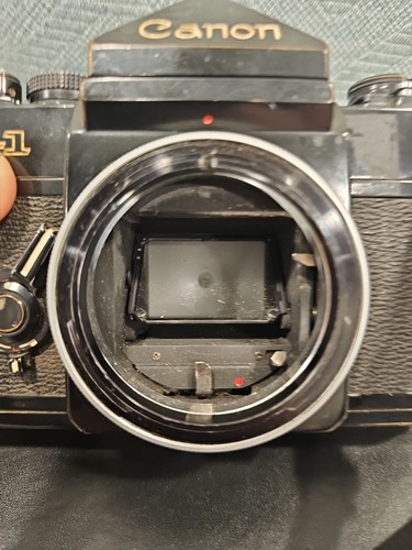 Canon F-1, With Canon 50mm Macro Lens And Hoya Skylight (1B) Filter - Picture 12 of 12