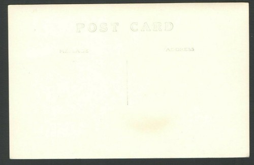 RPPC Postal JARDÍN CAFETERÍA, San Petersburgo, Florida Pequeño Puente y Plantas - Imagen 3 de 3