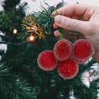  10 Sätze Weihnachten gefälschte Früchte Schmuck Weihnachtskranz Dekoration