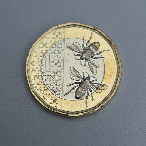 1 Pound Münzen 2023 sehr guter Zustand Großbritannien