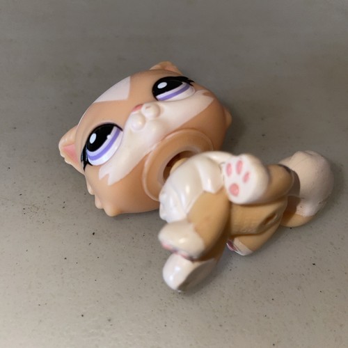 Authentic Littlest Pet Shop #1657 Persian Cat Kitty / Original Hasbro LPS - Imagen 7 de 7