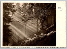 Sunlight in Black Forest Germany Vintage RPPC Real Photo Postcard