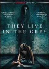 They Live in the Grey by Abel Vang: New