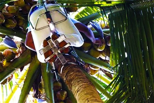 Extreme Deluxe Climber Tree Stand Comfortable Design W/ Adjustable Foot Strap US - Picture 7 of 24