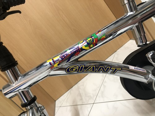Kinderfahrrad GIANT - Bild 8 von 8