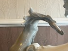 Picture 13 of 24