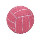 Coastal Pet Latex Ball Dog Toys