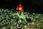 Bild 9 von 11