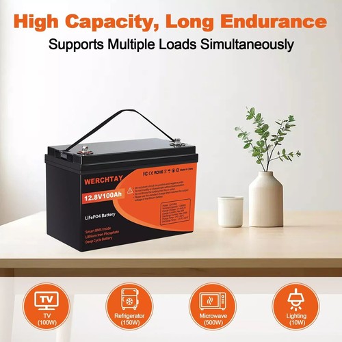 12V 100Ah Lithium Iron Phosphate Battery LiFePO4 Cycles Camping Rechargeable RV - Picture 15 of 21