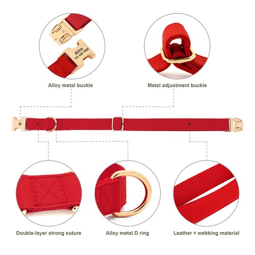 Personalised Dog Harness & Collar and Lead Set Nylon & Leather Adjustable XS-XL - Picture 28 of 28