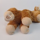 Bild 3 von 8