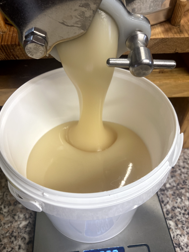 1,5 Kg Honig Blüte Raps Obst Löwenzahn Linde Cremig vom Imker aus Thüringen - Bild 5 von 5