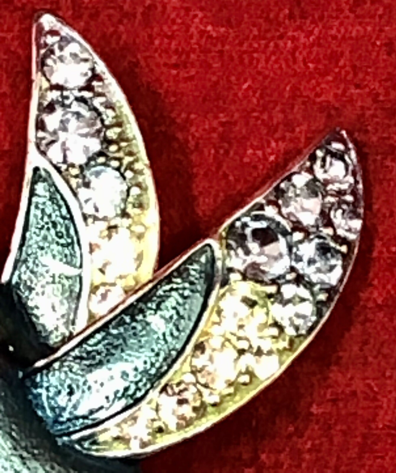 Picture 5 of 13