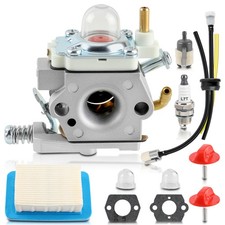 A021004331 Carburetor for Shindaiwa EB600RT Echo PB-580T PB-580H Backpack Blower