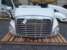 FREIGHTLINER CASCADIA 113 HOOD 3503821