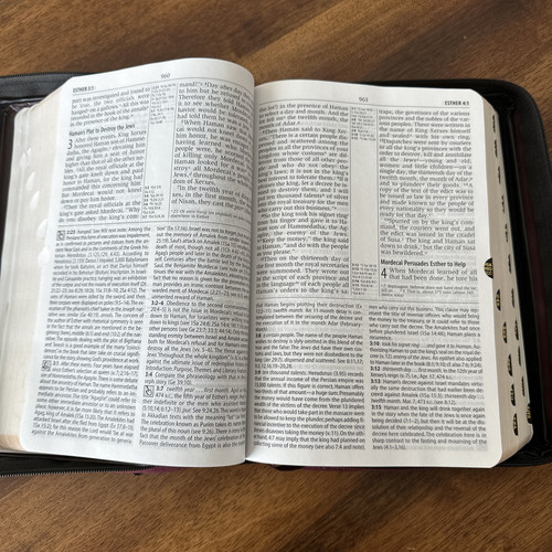 NIV Study Bible Red Letter Tabs Leather Zondervan 2000’s W/cloth Case - Foto 8 di 15