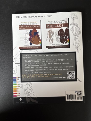 Human Anatomy/Bones Coloring Book - Picture 2 of 3