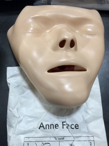 Resusci Anne Replacement Manikin Laerdal CPR Face Training - Lot of 10 pieces - Picture 5 of 6