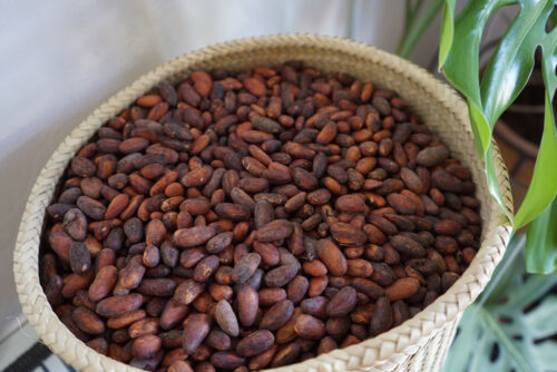 Ceremonial Cacao Chiapas || Mexican Heirloom Cacao || Theobroma cacao 150g - Picture 4 of 6