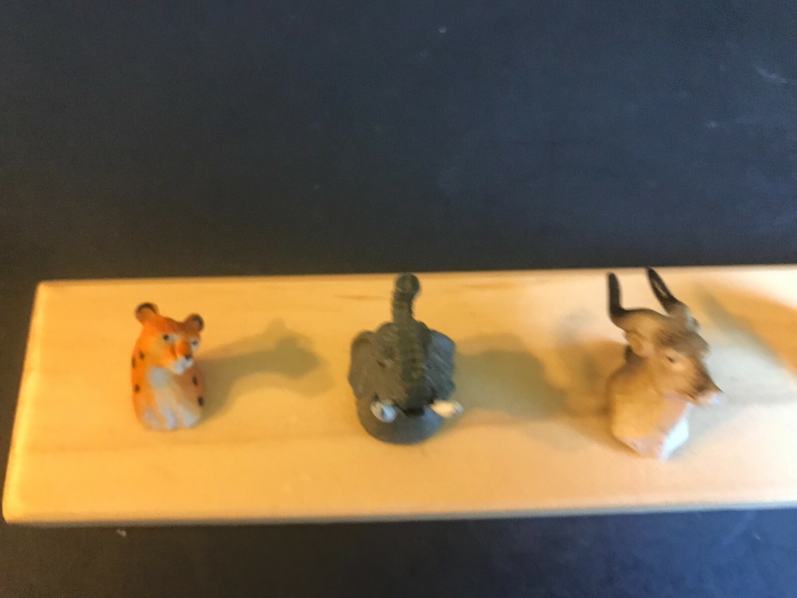 Picture 11 of 11