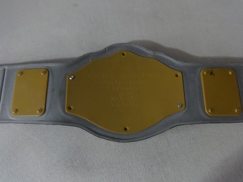 Huge Selection WWE Championship Belts Wrestling Belt Kids Youth 38.5" You Choose - Picture 361 of 566