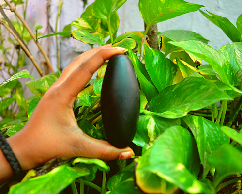 Shiva Lingam Stone Narmada River India Attractive Rare Lingam-I-5811 - Picture 6 of 8