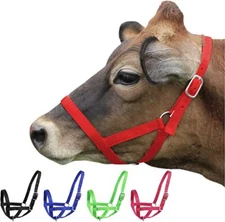 Derby Originals Adjustable Nylon Livestock and Cattle Halters