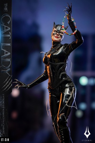 1/6 Scale Cat Lady Selina Kyle Normal Suit Female Solider 12in Action Figure Toy - Picture 11 of 24