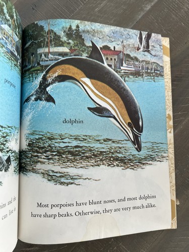 1978 Little Golden Book #308-41 WHALES 89c - Picture 10 of 14